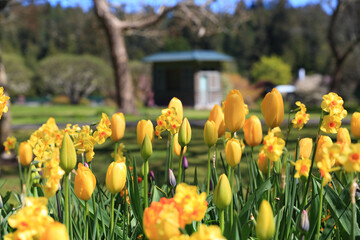 Butchart Garden
