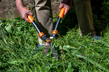 Handle large grass shears. Trimming grass lawn with garden shears. Old male hands cut grass with...