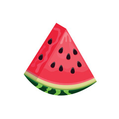 watermelon vector design fruit