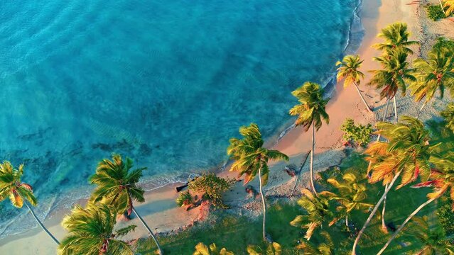 Aerial view of the morning azure coast of the Caribbean Sea with a wild beach. Crystal clear turquoise ocean waves on the sand. Wildlife seascape, top view. Summer and spring holidays.