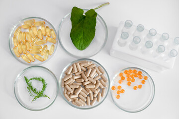 Glass Petri dishes, scientific laboratory microbiological research, development, study of biological testing of active additives. Science cosmetic laboratory concept.