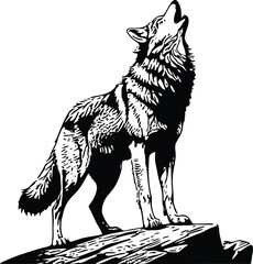 wild wolf howling full body outline