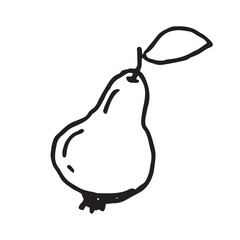 Pear with leaf hand drawn vector illustration on isolated white background