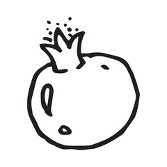 Pomegranate hand drawn vector illustration