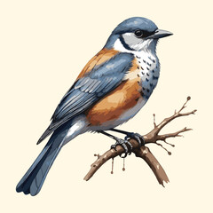 Watercolor Bird Sitting on a Branch Illustration
