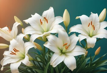 Fototapeta premium Lilies flower closeup Realistic Light with summer season flower concept