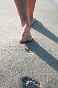 beautiful traces with feet near the sea on nature background