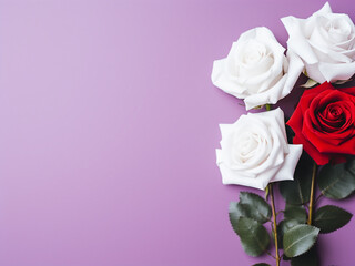 Isolated on purple, white and red roses await your text