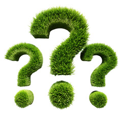 close-up of green plant against white background