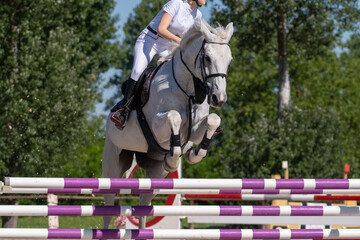 Show jumping competition on horseback. Horse Jumping, Equestrian Sports, Show Jumping themed photo.
