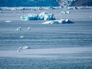 Obraz premium Icebergs in Johan Petersen Fjord in East Greenland.