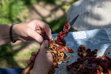 Female hands cutting dried hot red pepper. Pepper is used as a seasoning for dishes. A woman's...