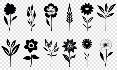 Set of different flowers. Flower plant nature collection. Vector illustrator isolated on transparent background