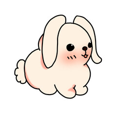 Cute rabbit