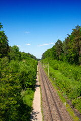 View of the railway trail running through the forest