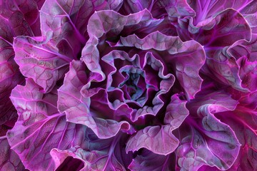 A close up of a purple flower with purple leaves in view - Powered by Adobe