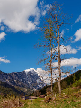 Lugauer, Berg im Ges&auml;use, Steiermark, &Ouml;sterreich
