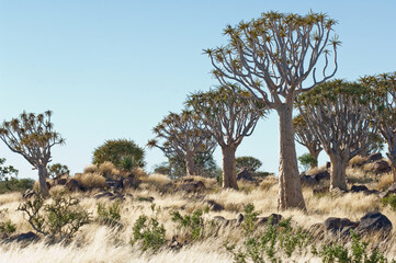 Namibia