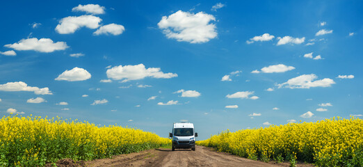 panoramic view to agriculture landscape with yellow fields of rapeseed and white van under blue sky with white clouds 