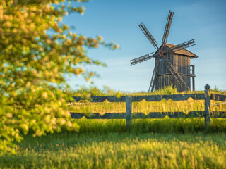 view to old wooden windmill behind farm fence through blooming tree