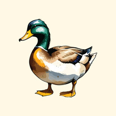 Watercolor Goose Swim Duck Illustration