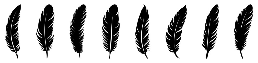 Bird feather icons set. Platelet collection. Vector illustration isolated on white background