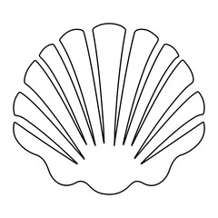 Shell line icon. Vector illustration