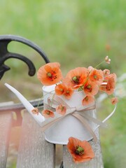 ベンチにポピー