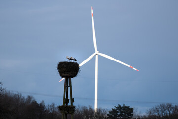 Storchenpaar im Nest vor einem Windkraftrad