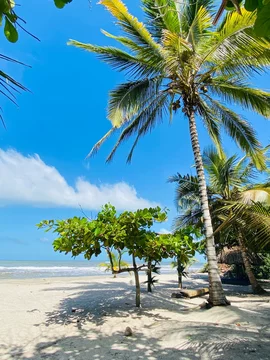 photo d'une plage colombienne paradisiaque avec un grand ciel bleu et des cocotiers. La végétation est luxuriante et verte, le sable est blanc, Santa Marta dans le nord de la Colombie