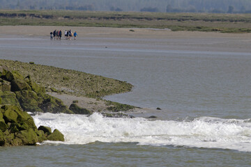 crotoy © david delecourt