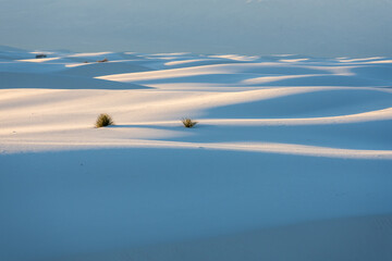 Smooth Dunes Disppears Into The Distance of White Sands