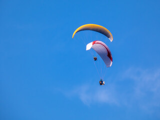 paragliders in the sky