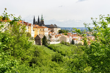 Prague Castle, seat of the Czech President. View from the park with spring flowering trees.