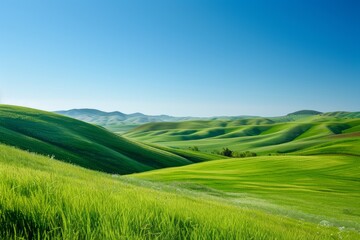 Fototapeta premium Peaceful Landscape of Rolling Hills and Meadows