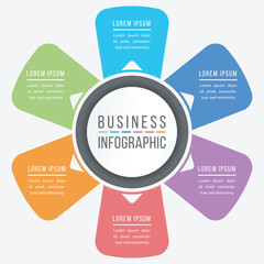 Infographic design 6 steps or options business information colorful template