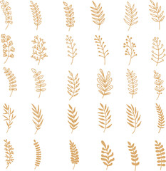 Pixel perfect icon set of hand drawn handdrawn 
cereal wheat rye barley oats agriculture flower plant leaf floral. Thin line icons flat vector illustrations isolated on white transparent background