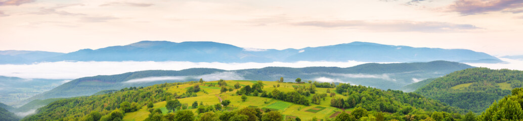 panorama of ukrainian mountainous rural landscape at sunrise. trees and agricultural fields on...
