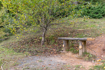 Atatürk Arboretum is a magnificent park where nature shows itself in all its colours