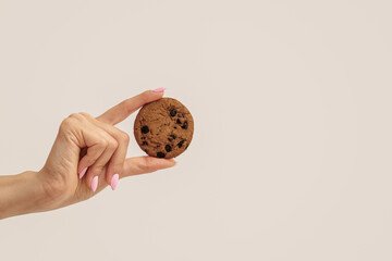 Female hand holding sweet cookie with chocolate chips on white background