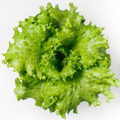 Top view of fresh green lettuce isolated on white background.