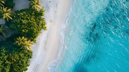 A beautiful blue ocean with a sandy beach and palm trees in the background