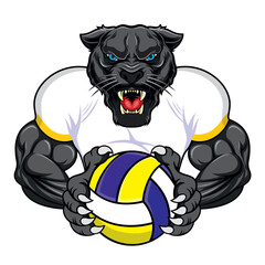 volleyball mascot panther vector illustration design