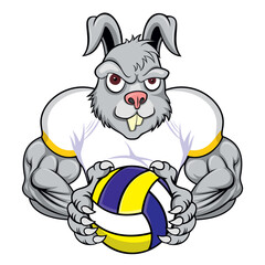 volleyball mascot rabbit vector illustration design