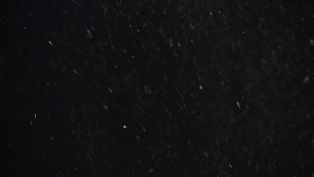 Real snow falls on a black isolated background. Small particles of snow saw fly in the wind black background abstraction.