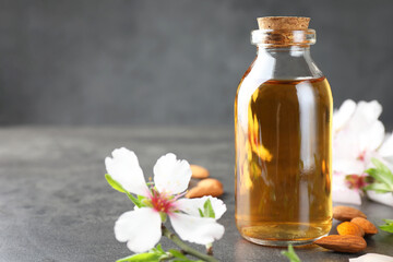Almond oil in bottle, flowers and nuts on grey textured table, closeup. Space for text