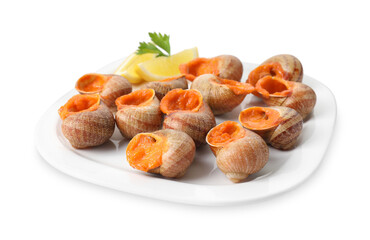 Delicious cooked snails with lemon and parsley isolated on white
