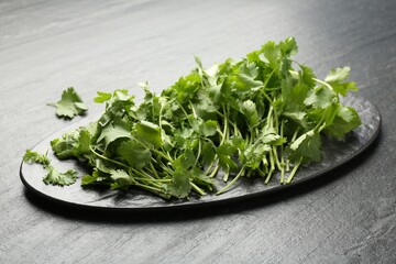 Fresh coriander on dark gray textured table