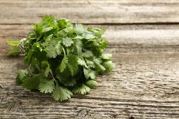 Bunch of fresh coriander on wooden table, space for text
