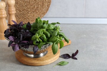 Metal colander with different fresh basil leaves on grey countertop, space for text